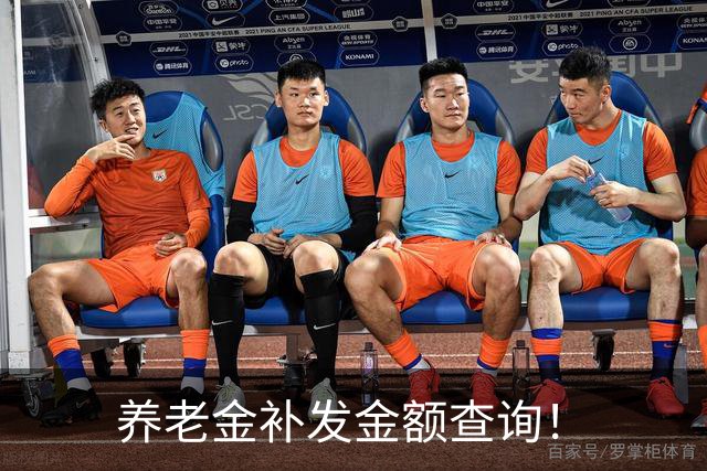 养老金补发金额查询！
